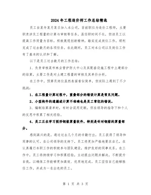 2024年工程造价师工作总结精选（二篇）