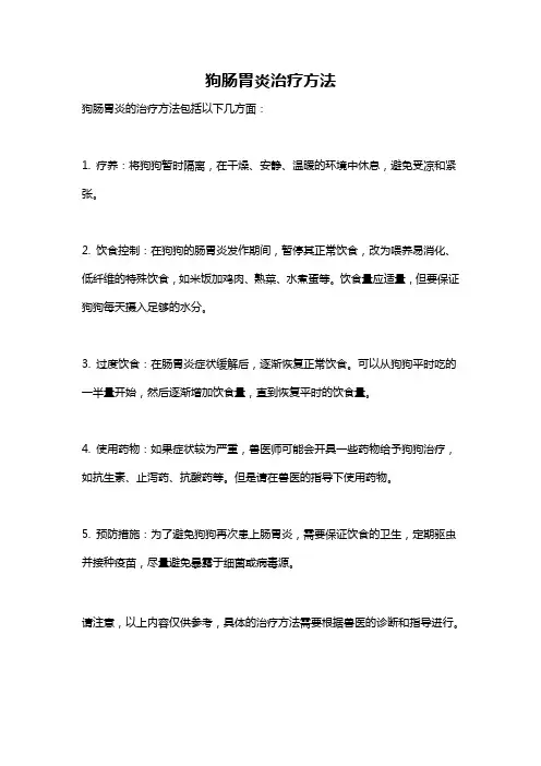 狗肠胃炎治疗方法