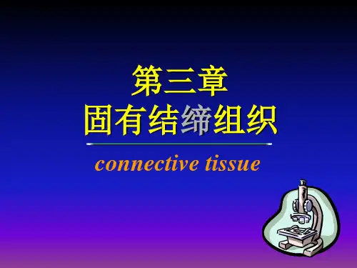 固有结缔组织
