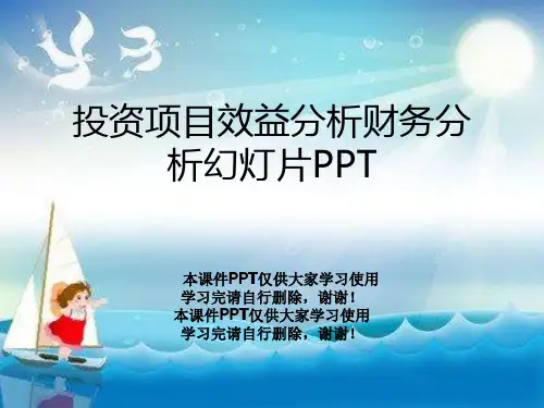 投资项目效益分析财务分析幻灯片PPT