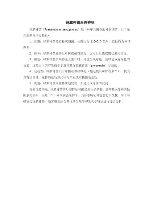 绿脓杆菌形态特征