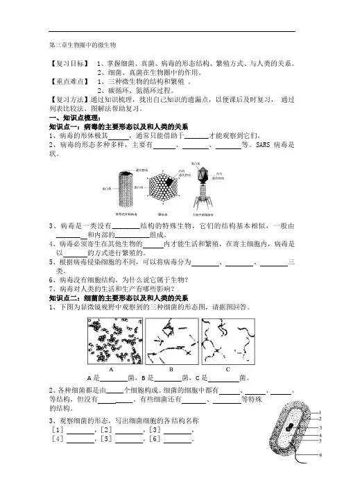 济南版生物七年级上册第三章生物圈中的微生物复习课教案附分层练习题教学反思