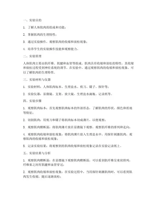 人体肌实验报告