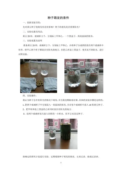 种子萌发的条件