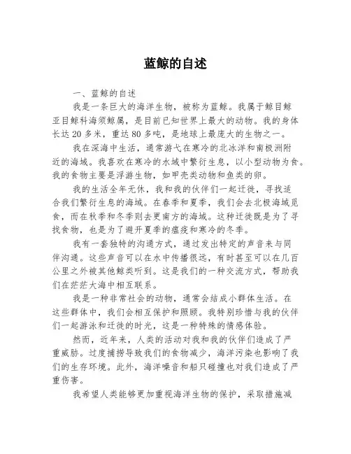 蓝鲸的自述