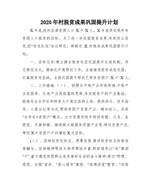 2020年村脱贫成果巩固提升计划
