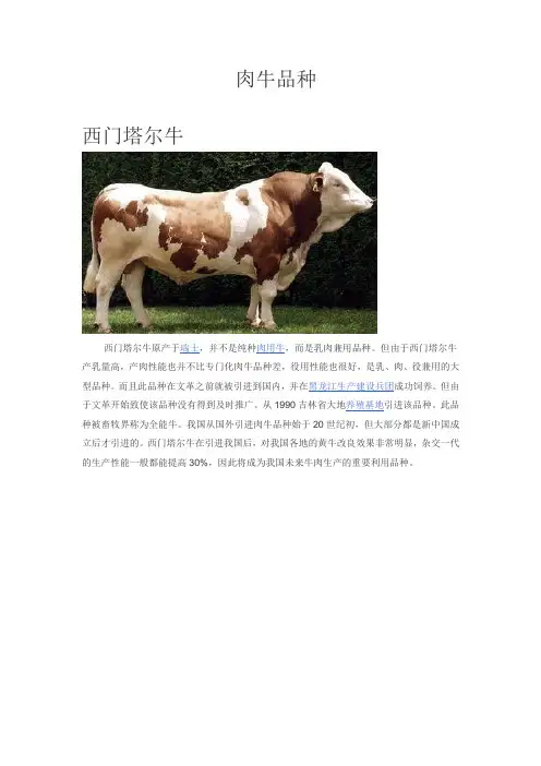 肉牛品种