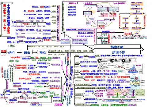 必修3 生命活动的调节思维导图全新