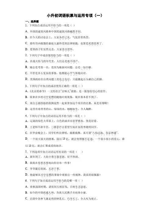小升初词语积累与运用专练(一)(试题)2022-2023学年语文六年级下册