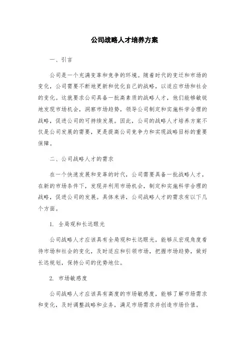 公司战略人才培养方案