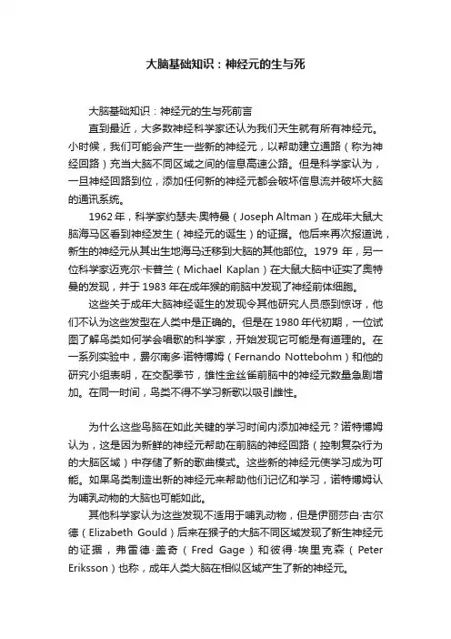 大脑基础知识：神经元的生与死