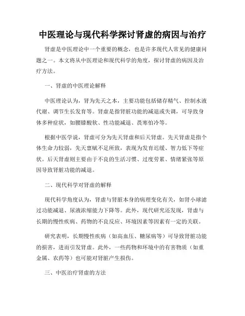 中医理论与现代科学探讨肾虚的病因与治疗