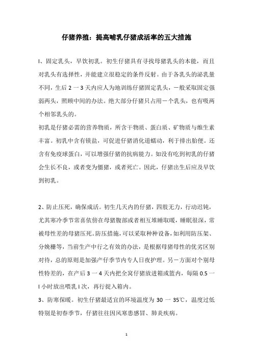 仔猪养殖：提高哺乳仔猪成活率的五大措施
