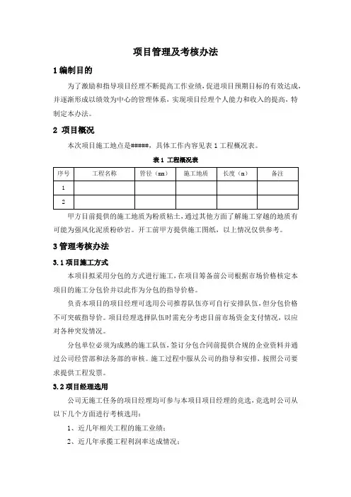 项目管理及考核办法