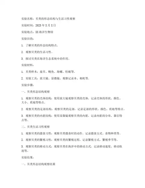 贝类的观察实验报告