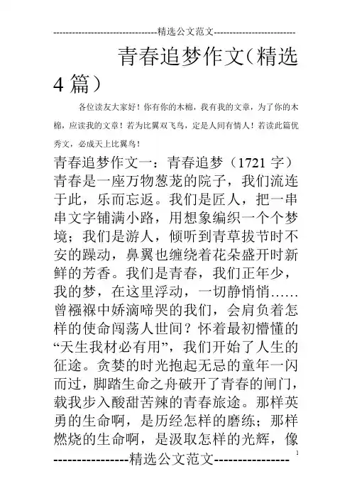 青春追梦作文(精选4篇)_0