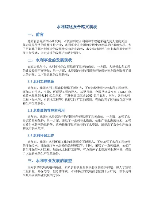 水利综述报告范文模板