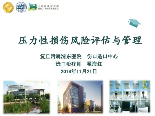 压力性损伤风险评估与管理ppt课件