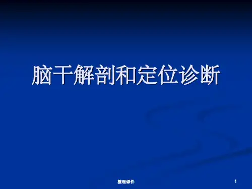 脑干定位诊断