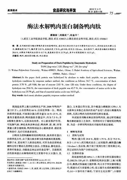 酶法水解鸭肉蛋白制备鸭肉肽