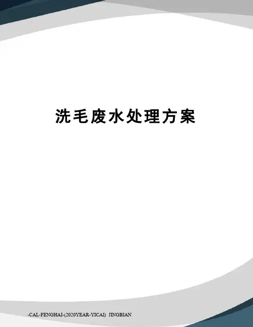 洗毛废水处理方案