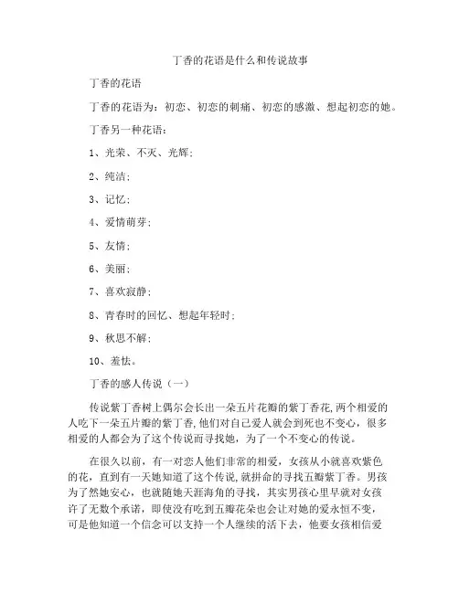 丁香的花语是什么和传说故事