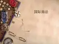 国际商法——合伙企业法详解与案例分析