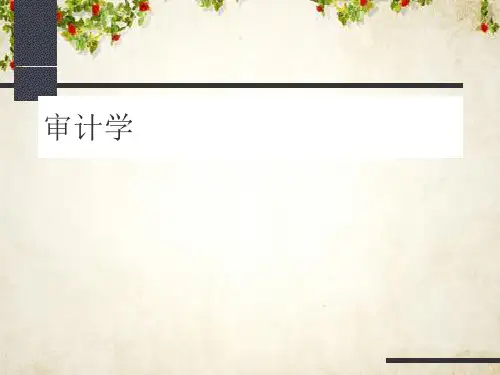审计学精品培训教程(ppt 231页)