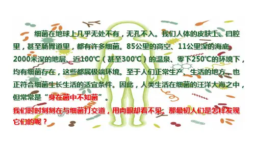 人教版生物八年级上册第五单元4.2 细菌 课件(40PPT含视频)