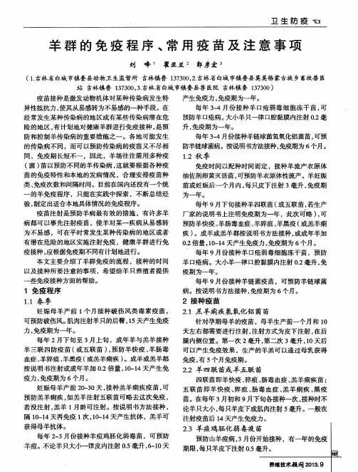 羊群的免疫程序、常用疫苗及注意事项