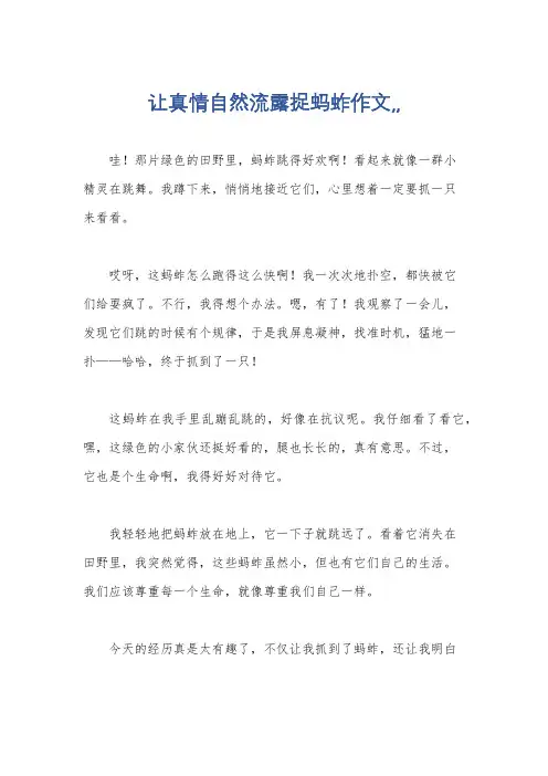 让真情自然流露捉蚂蚱作文,,