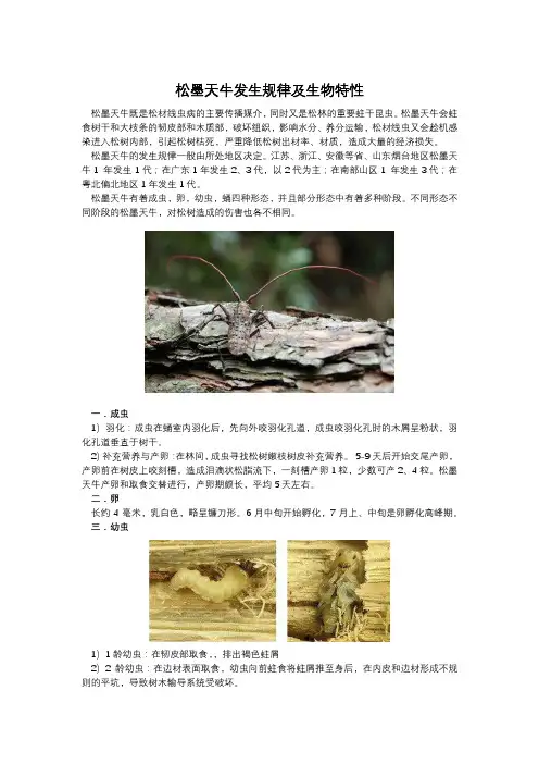 松墨天牛发生规律及生物特性(1)
