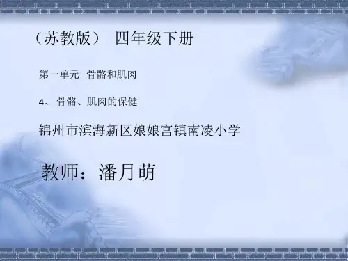 苏教版科学四年级下册4.骨骼、肌肉的保健 (3)