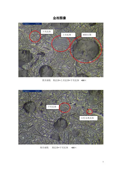(仅供参考)培训金相图像