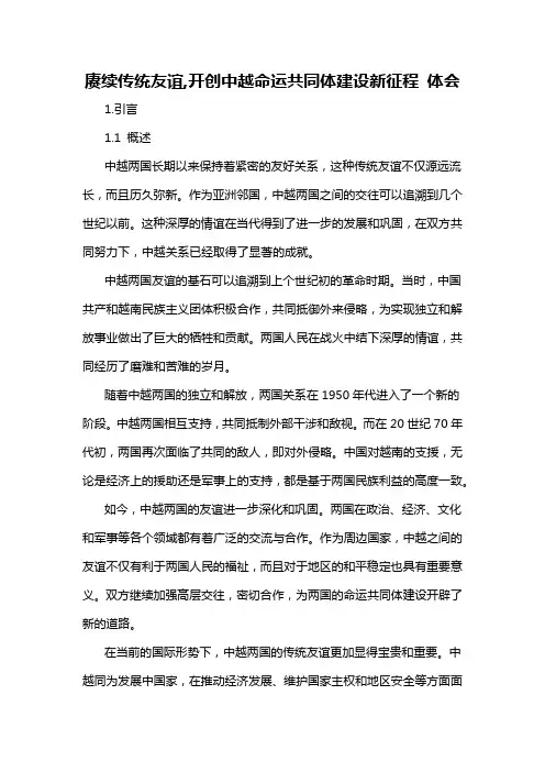 赓续传统友谊,开创中越命运共同体建设新征程 体会