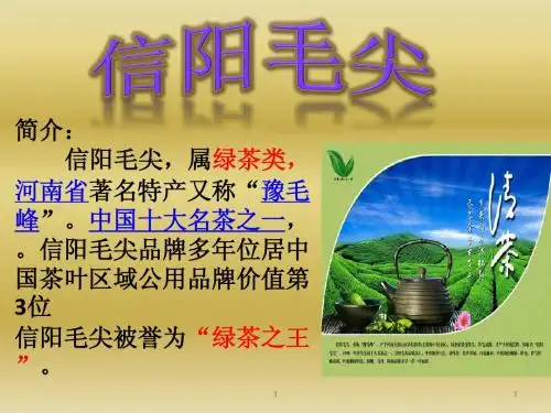 信阳毛尖