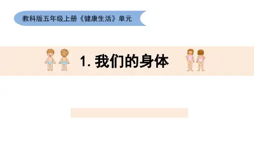 小学科学 《我们的身体》教学课件
