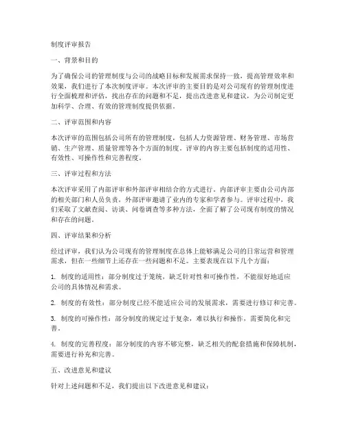 制度评审报告模板