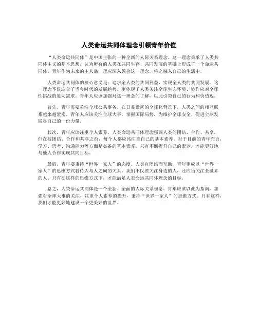 人类命运共同体理念引领青年价值