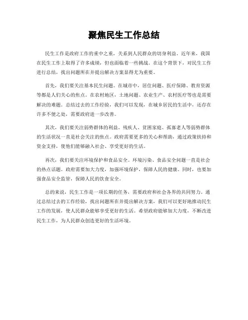 聚焦民生工作总结