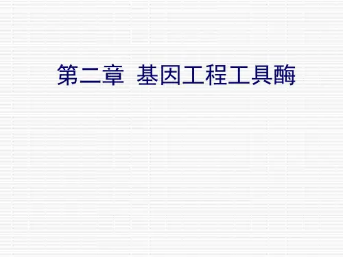 第2章 基因工程工具酶