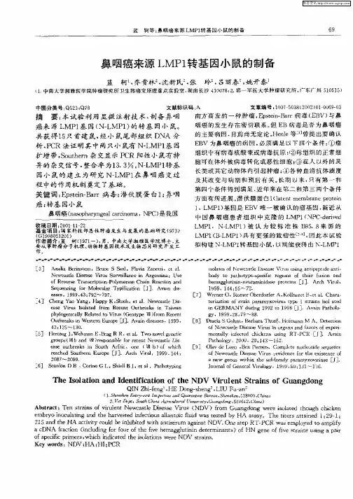 鼻咽癌来源LMP1转基因小鼠的制备