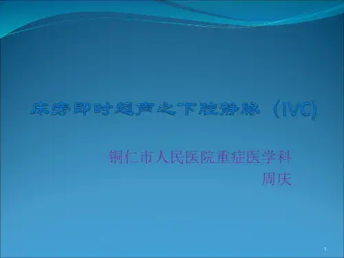 下腔静脉PPT参考幻灯片