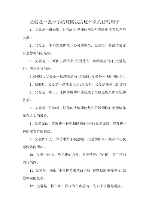 父爱是一盏小小的灯陪我度过什么的仿写句子