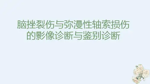 脑挫裂伤与弥漫性轴索损伤的影像诊断与鉴别诊断