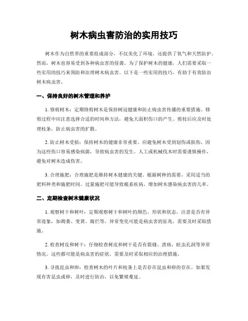 树木病虫害防治的实用技巧