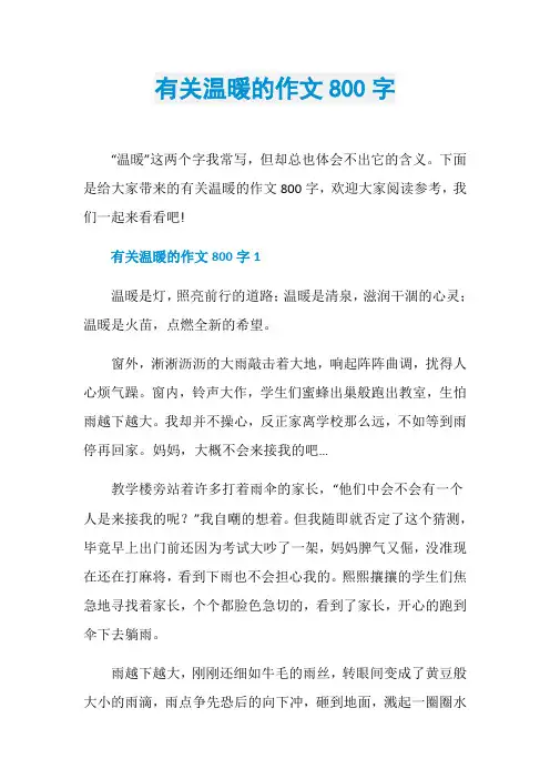有关温暖的作文800字
