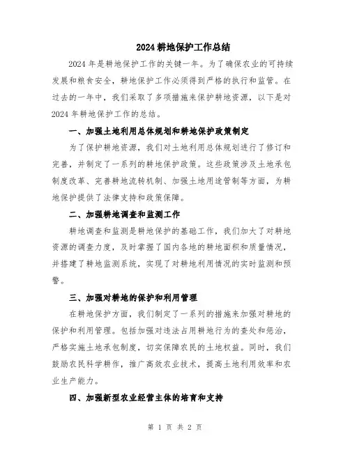 2024耕地保护工作总结
