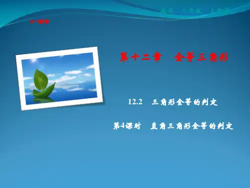 2022年秋八年级数学上册 第12章 全等三角形 12.2 三角形全等的判定 第4课时 直角三角形全