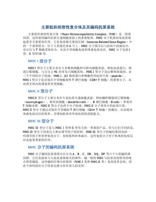 主要组织相容性复合体及其编码抗原系统